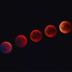 Highway closure chokes mutton supply in Kashmir; over 150 weddings delayed due to crisis