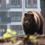 Winter Break up to 8th class from Dec-01