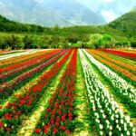 “God saved me”: Farooq Abdullah after escaping assassination attempt in Jammu